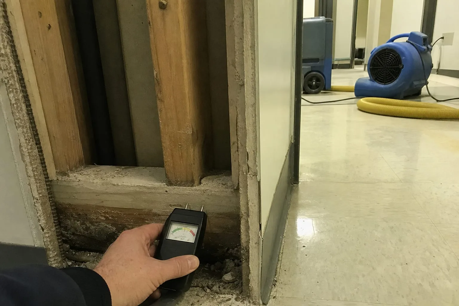 A moisture meter with pins pressed into the bottom plate of an opened drywall cavity, with an air mover and a dehumidifier hose visible on the floor behind it